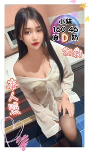 台中定點|小貓